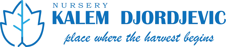 Kalem Djordjevic Nursery